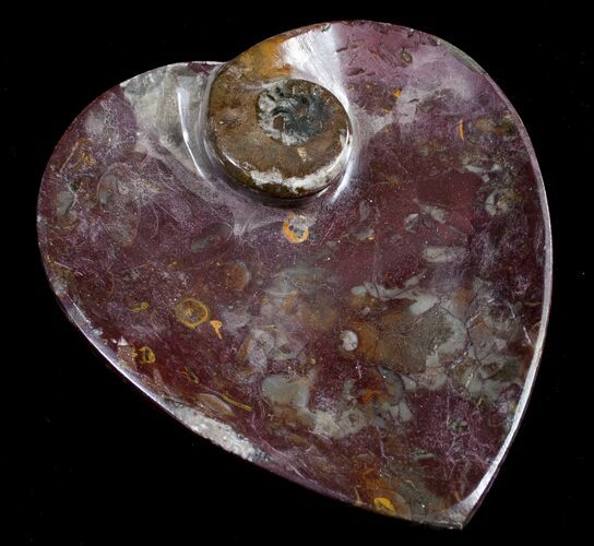 Heart Shaped Fossil Goniatite Dish #8856